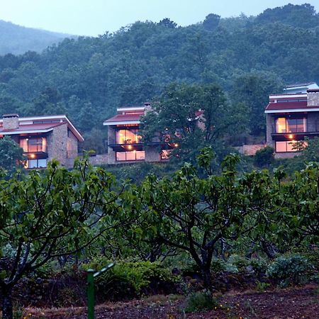 Las Casas De Agapito Poyales Del Hoyo Kültér fotó